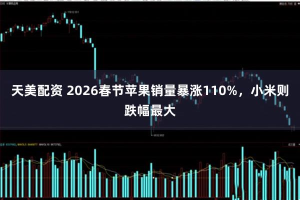 天美配资 2026春节苹果销量暴涨110%，小米则跌幅最大